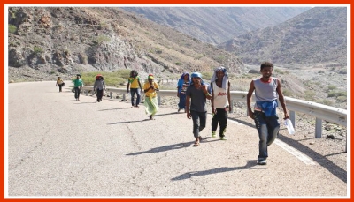 الهجرة الدولية: دخول 9500 مهاجر أفريقي إلى اليمن خلال يوليو الماضي