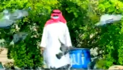 رغم كورونا... يمني بالدوحة يتطوع لإطعام "الحمام" في الساحات