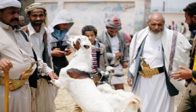 وكالة: عيد صعب في اليمن مع ارتفاع الأسعار وتدهور قيمة الريال